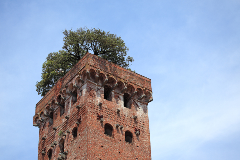 Guingi Tower in Lucca, Tuscany