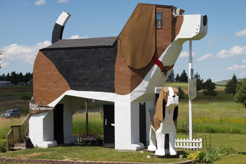 Unusual dog-shaped building: Dog Bark Park