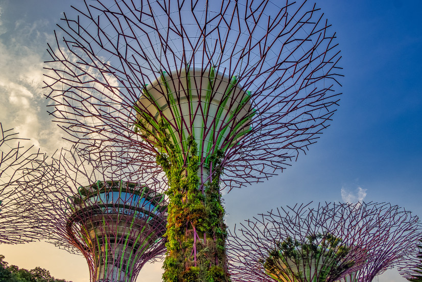 Die künstlichen Baumstrukturen der Gardens of the Bay in Singapur vor einem strahlend blauen Himmel