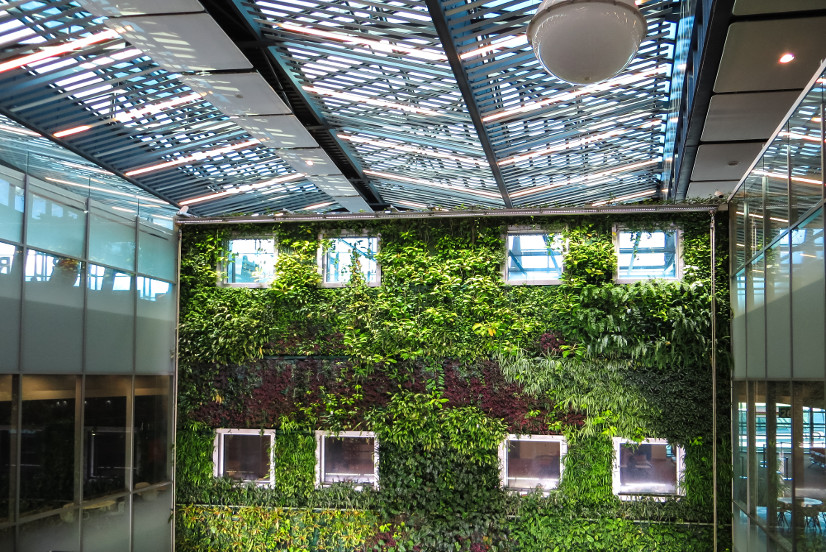 A large hall, one interior wall is covered with ivy and other plants.